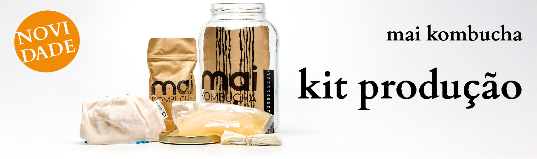 kit kombucha